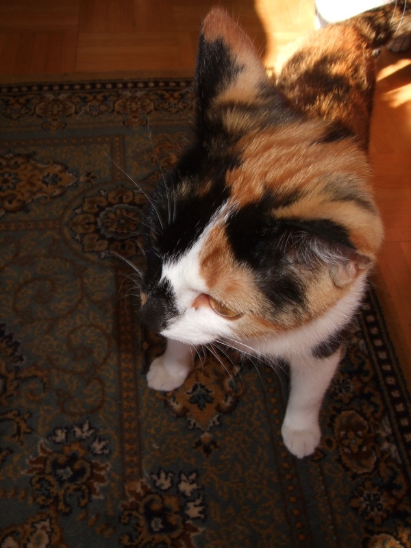 Ostern 2007 Orleshausen 047 